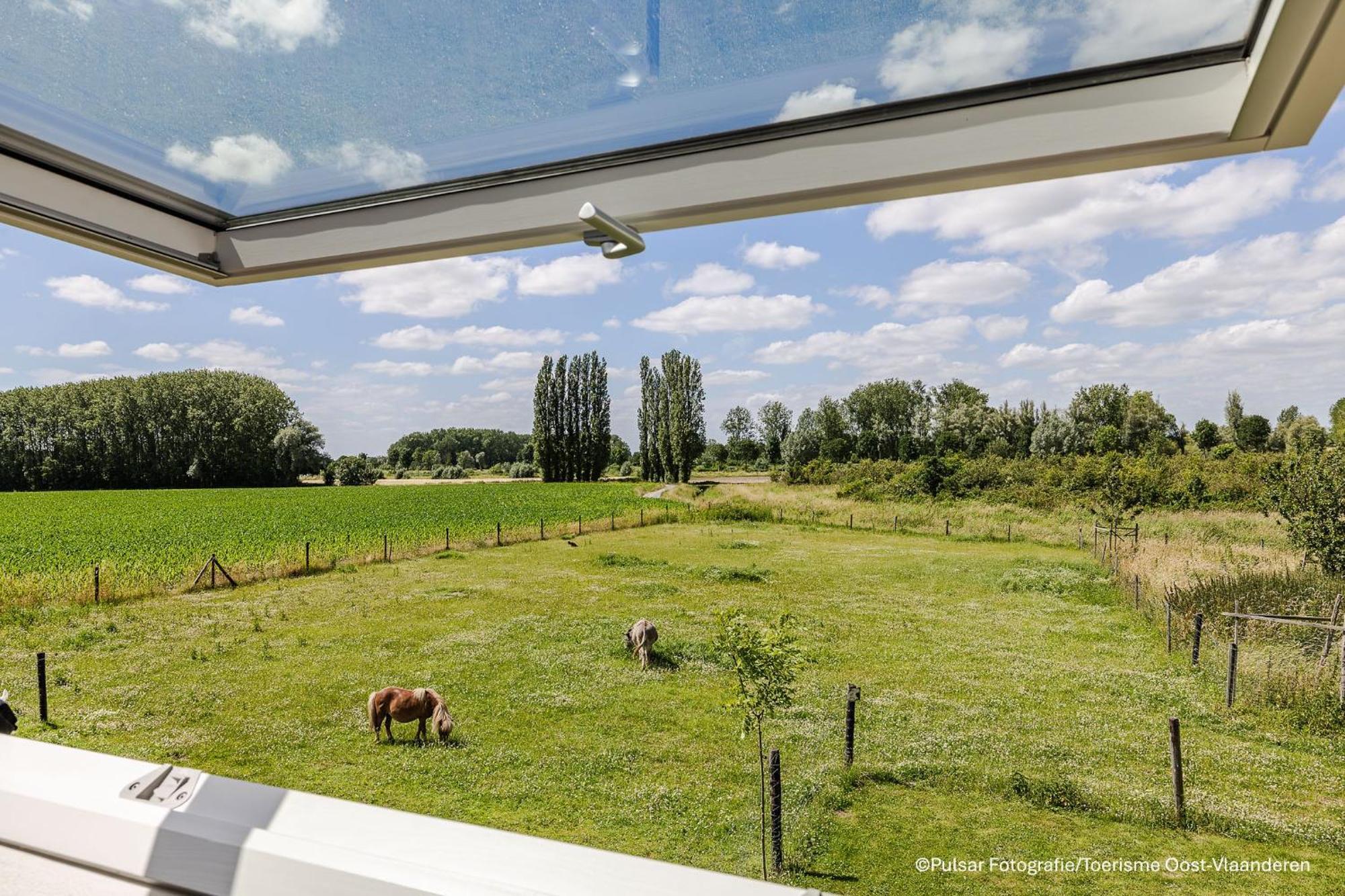 Op 'T Roth Villa Oudenaarde Bagian luar foto